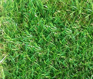 Искусственная трава Grass «August 35»