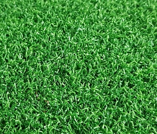 Искусственная трава Domo «Golf Grass»