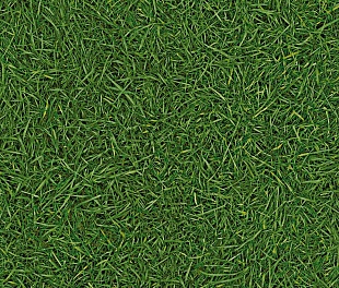 Линолеум Бытовой IVC, Neo «Grass 25»